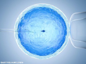 代生供卵公司生殖中心